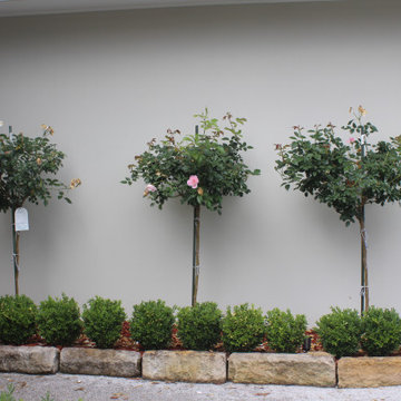 New Garden Design and Makeover