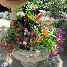 Container gardening