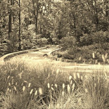 Woodland Rain Gardens