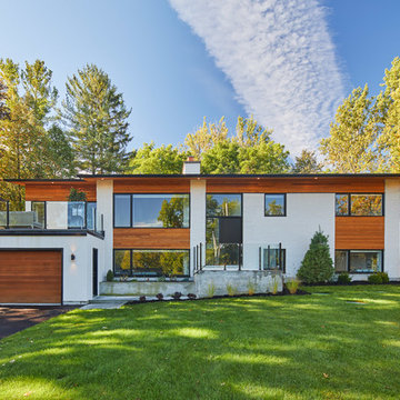 Manotick mid century makeover