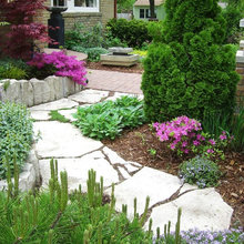 Frontyard