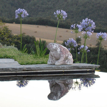 Giardino e piscina casa di campagna a Trevinano - Acquapendente (VT)