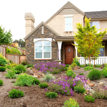 Suburban Beautification