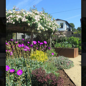 The Cook's Garden