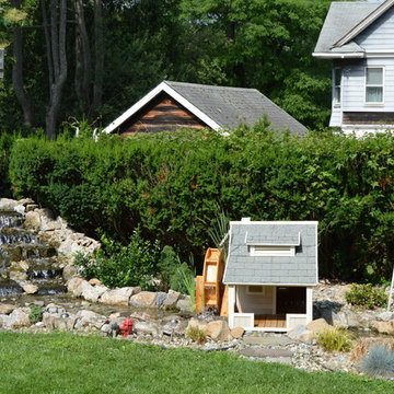 Dog House environment
