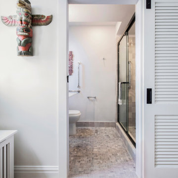 Prospect Heights Remodel