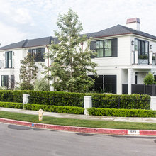 Privacy Fence/Hedge