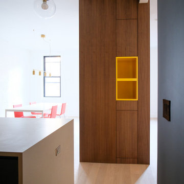 Manhattan Apartment Combination