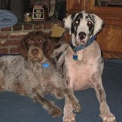 Trish Sultzbaugh's photo