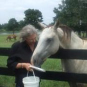 Martha Stipp's photo