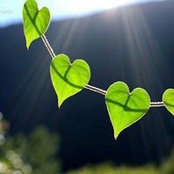 Mary Kavanaugh's photo