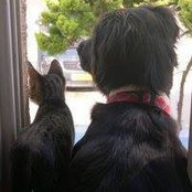 Ronit Efrat's photo
