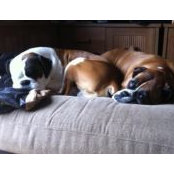 Jason Horn's photo