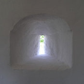 borja's photo