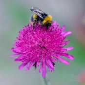 Foto von Suzy Abbott