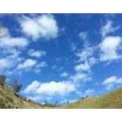 Ada Kok's photo