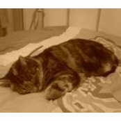 Lynette Lawson's photo