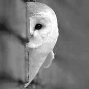 Anna Ohanyan's photo