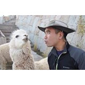 Wilfred Yeung's photo