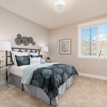 1281 Homestead - Walnut Creek, CA
