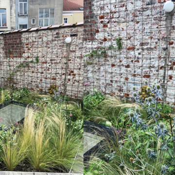 Toiture terrasse de 40m2 à Saint Gilles / Prairie fleurie