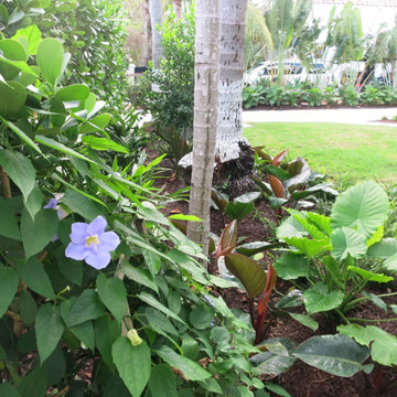 Miami Beach Residence