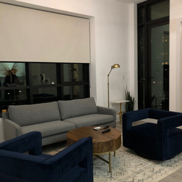 Screen Roller Shades with reverse roll!