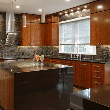 Northwest Washington D.C. - Contemporary - Kitchen Design