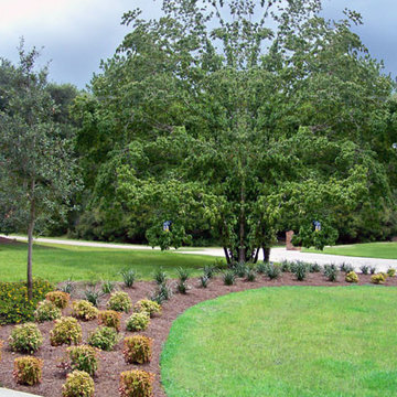 Tropical Landscape Design
