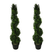 Plants