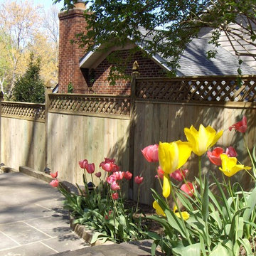 Lions Fence Contemporary And Custom Fences