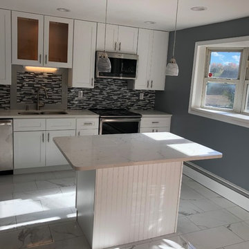 Noristown contemporary kitchen