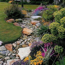 Landscaping - French Drains