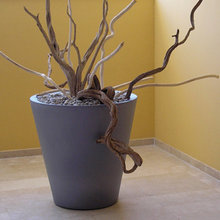 planters