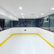 Basement Rink