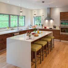 Modern Barn House - Kitchen