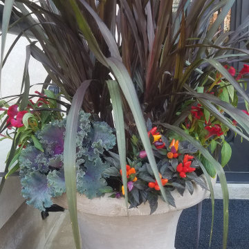 Containers