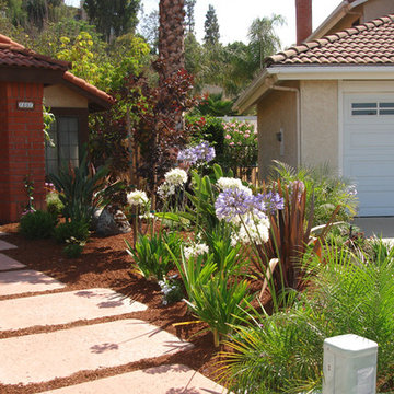 Our Work
