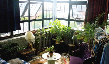 13 One-of-a-Kind Windowsill Gardens