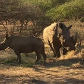 Foto von Zibusiso Dube