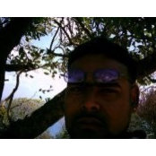 Troy Singh's photo