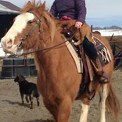 Ariane Boudreau's photo