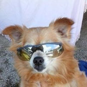 Kathy Moore's photo