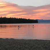 Courtney Siemens's photo