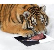 Robert McCracken's photo