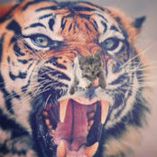 Ivan Landau's photo