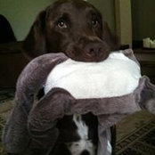 Britt Christiaansen's photo