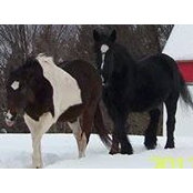 Ann MacKenzie's photo