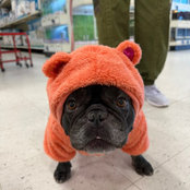Mari Guerra's photo