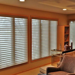 prior lake home - Roman Shades
